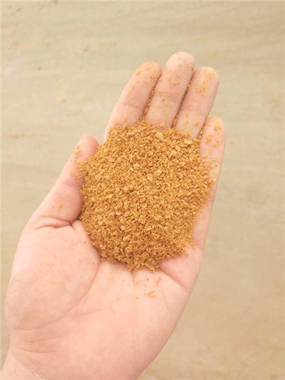 �����Č��Ⱦ��ܴ_���ۺ��Ȼ��X�ĺÉ�