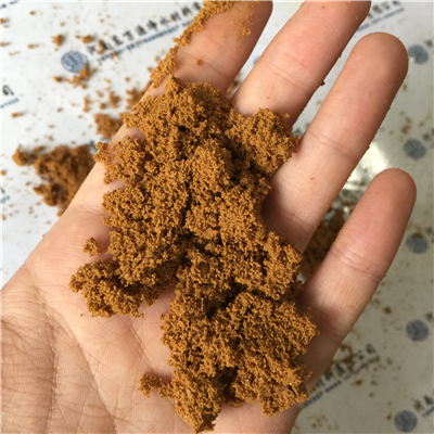 Ԕ���o����B�҂��|�fԴ�ľ��X